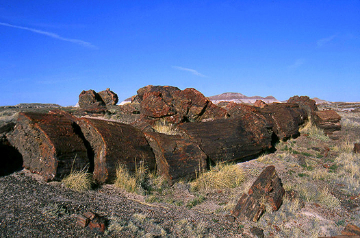 Petrified Forest National Park, Holbrook, Arizona